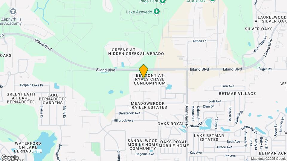 36106 Lake Chase Blvd Map and Location Details