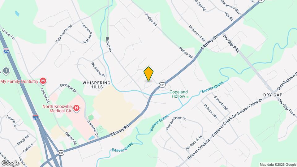 928 Chip Cove Ln Map and Location Details