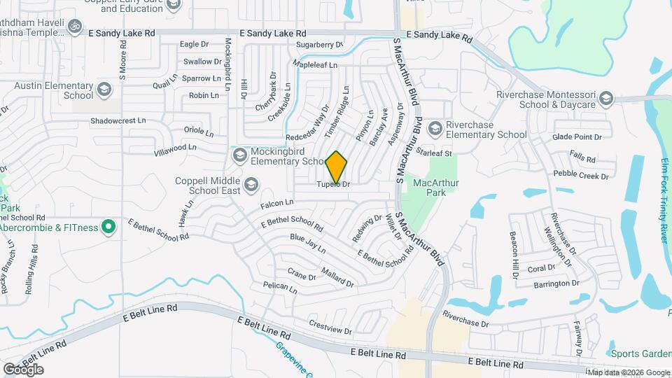 941 Tupelo Dr Mapa y Detalles de la Ubicación