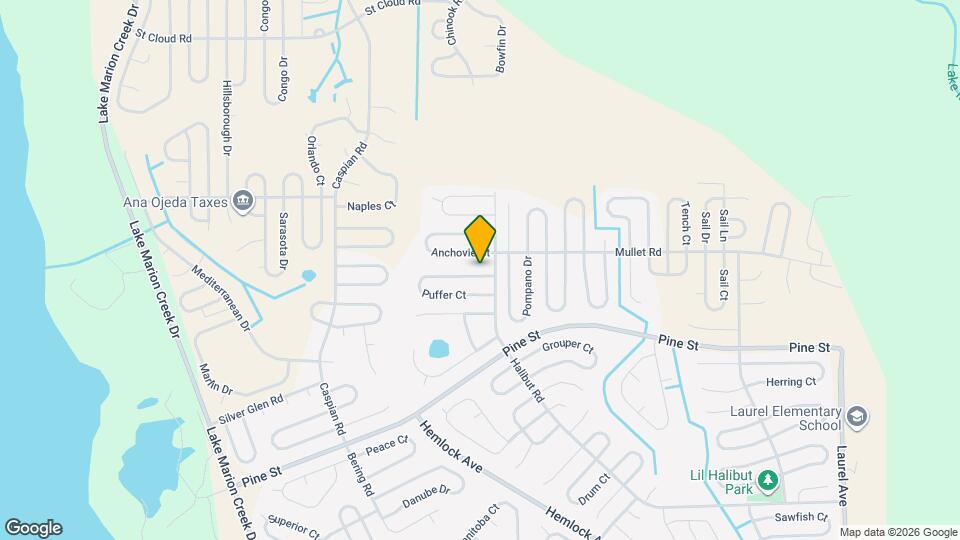 305 Puffer Ct Mapa y Detalles de la Ubicación