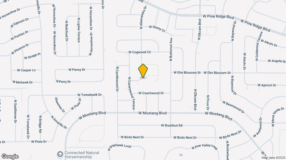 4565 N Allamandra Dr Map and Location Details