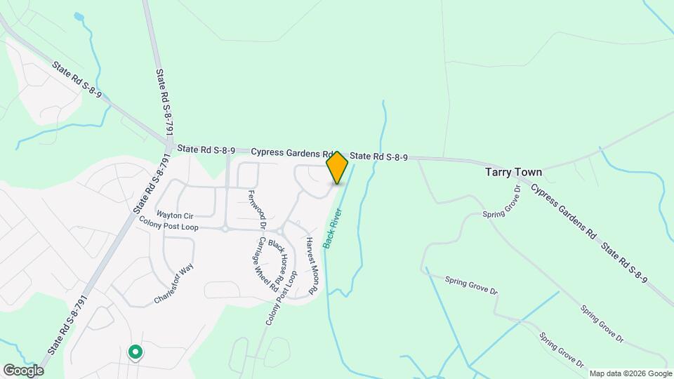 229 Oglethorpe Cir Mapa y Detalles de la Ubicación