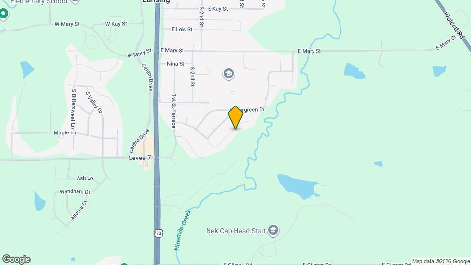 320 Fawn Valley St Mapa y Detalles de la Ubicación