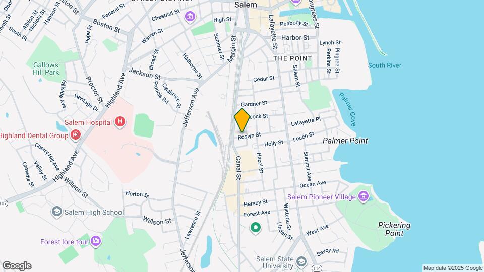 52 Roslyn St Map and Location Details