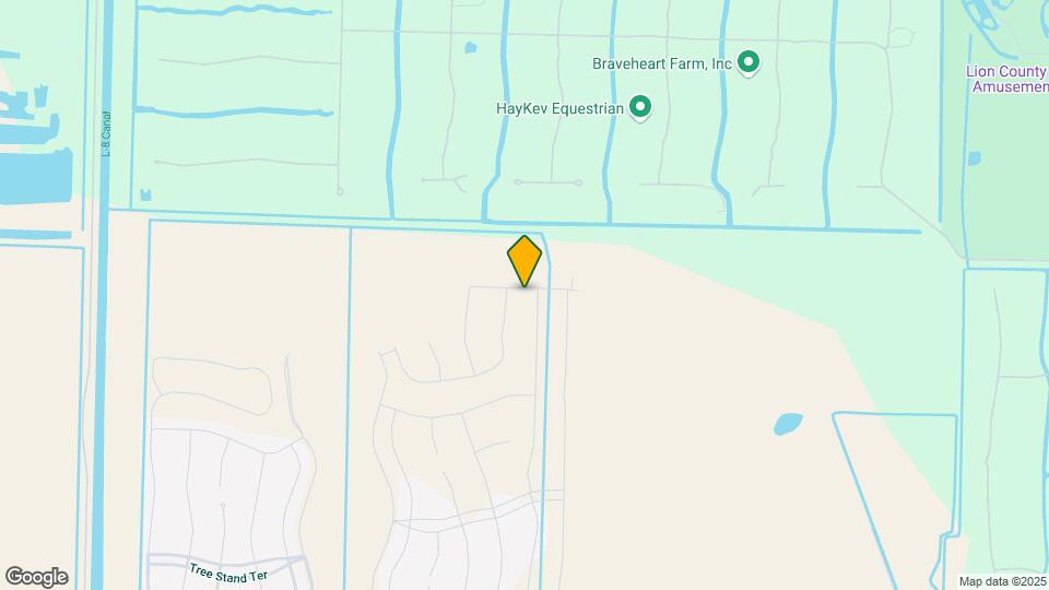 19002 Wood Stork Way Map and Location Details