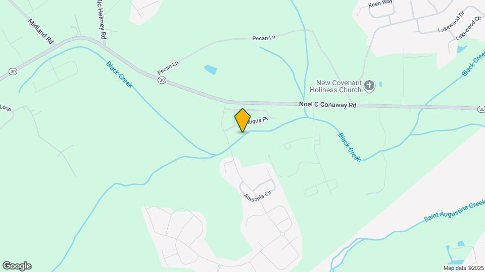 247 Antigua Pl Mapa y Detalles de la Ubicación