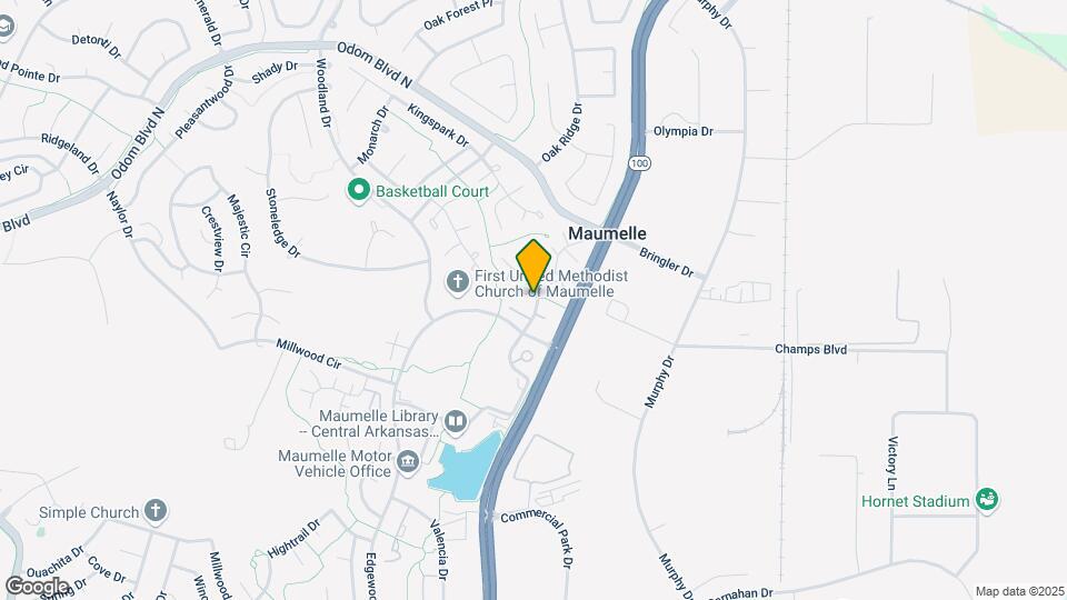 101 Pine Forest Dr Map and Location Details