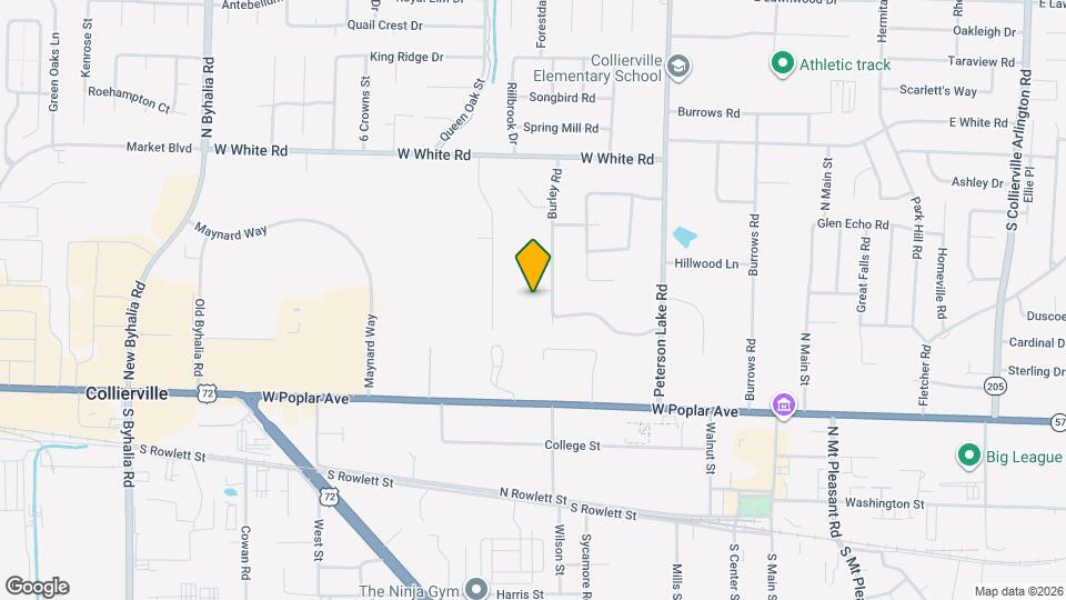 335 Alexander Cove Map and Location Details