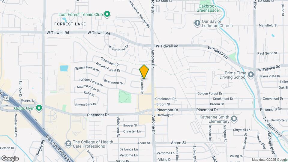 5502 Deep Forest Dr Map and Location Details