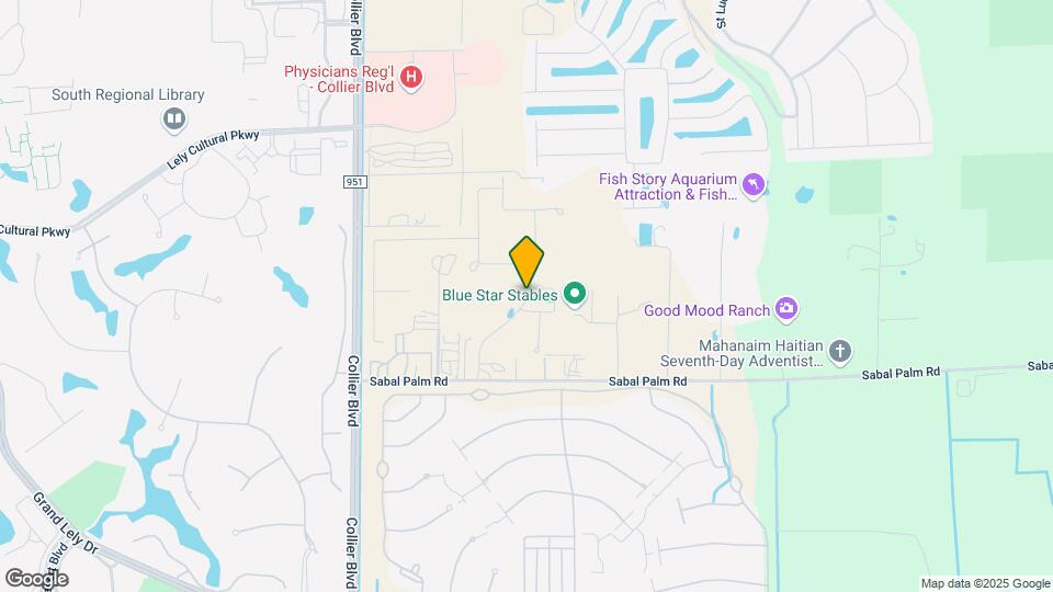 335 Tamarindo Ln Map and Location Details