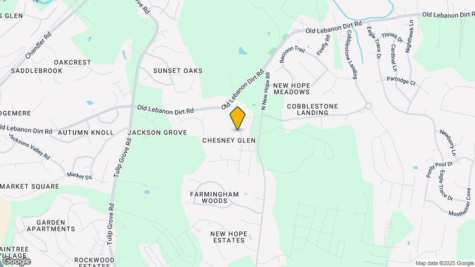 4256 Chesney Glen Dr Map and Location Details
