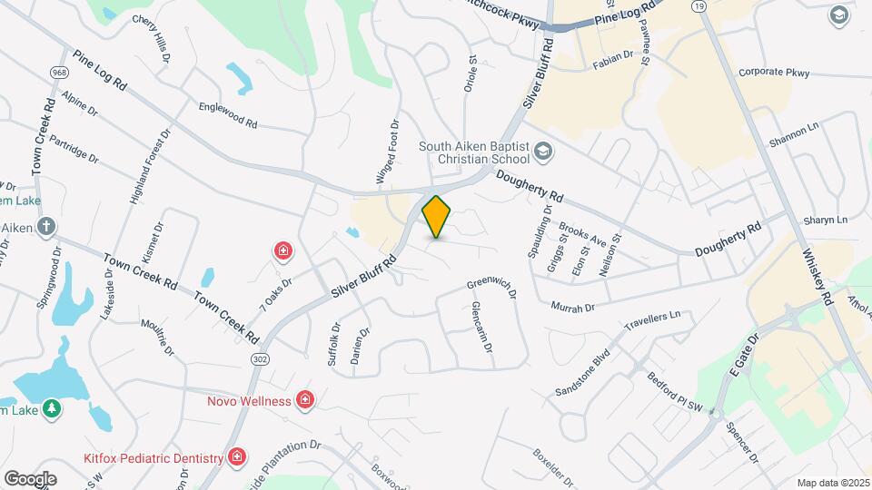 113 Charleston Row Blvd Map and Location Details