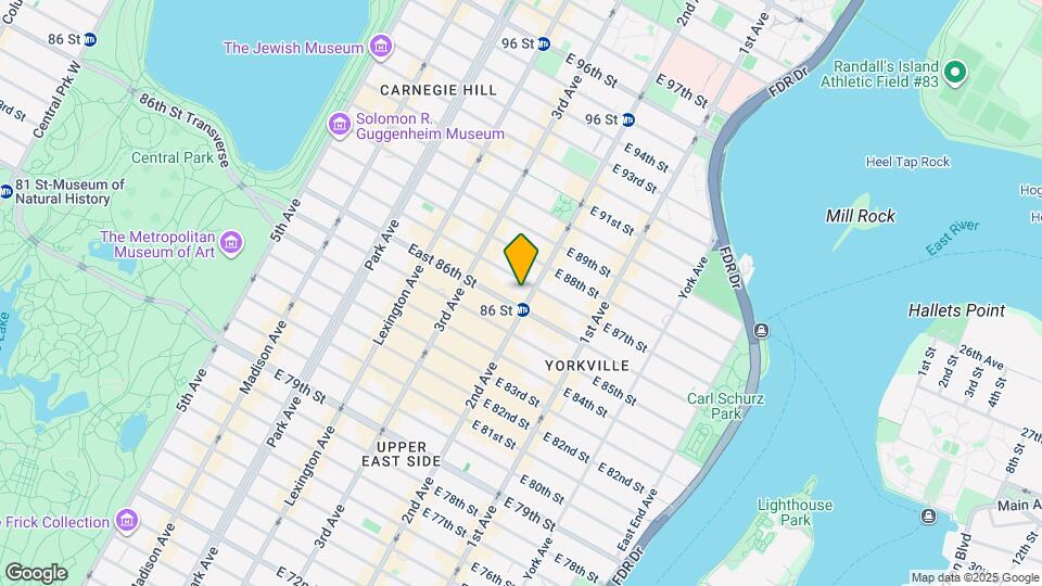 250 E 87th St Map and Location Details