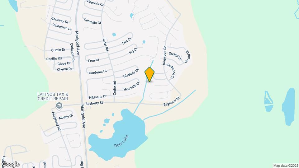 127 Tulip Ln Mapa y Detalles de la Ubicación