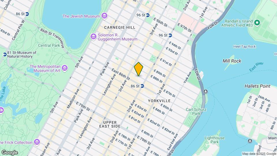 238 E 87th St Map and Location Details