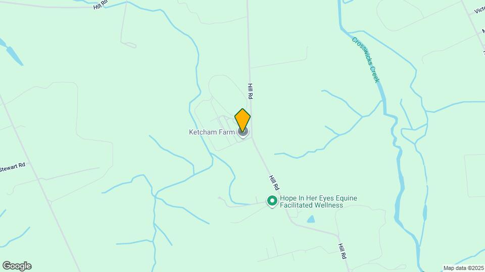 52 Hill Rd Map and Location Details