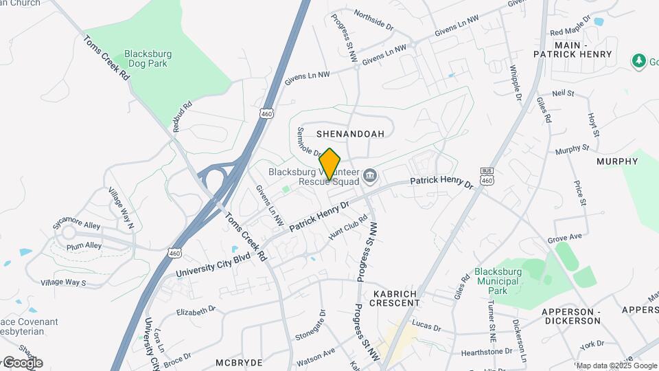 333 Shenandoah Cir Map and Location Details