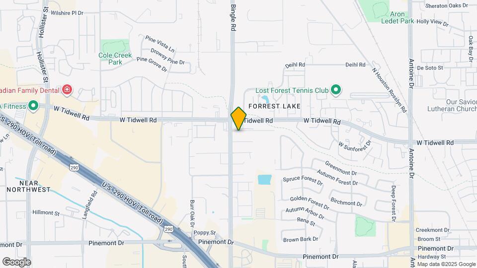 6631 Castlebay Dr Map and Location Details