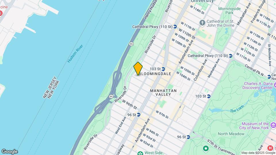 319 W 100th St Mapa y Detalles de la Ubicación
