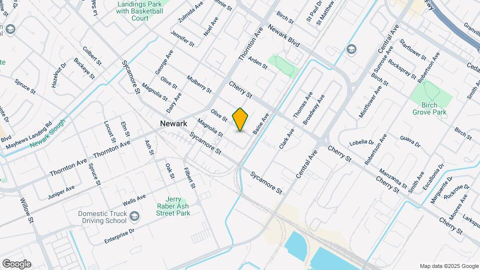 37121 Olive St Mapa y Detalles de la Ubicación