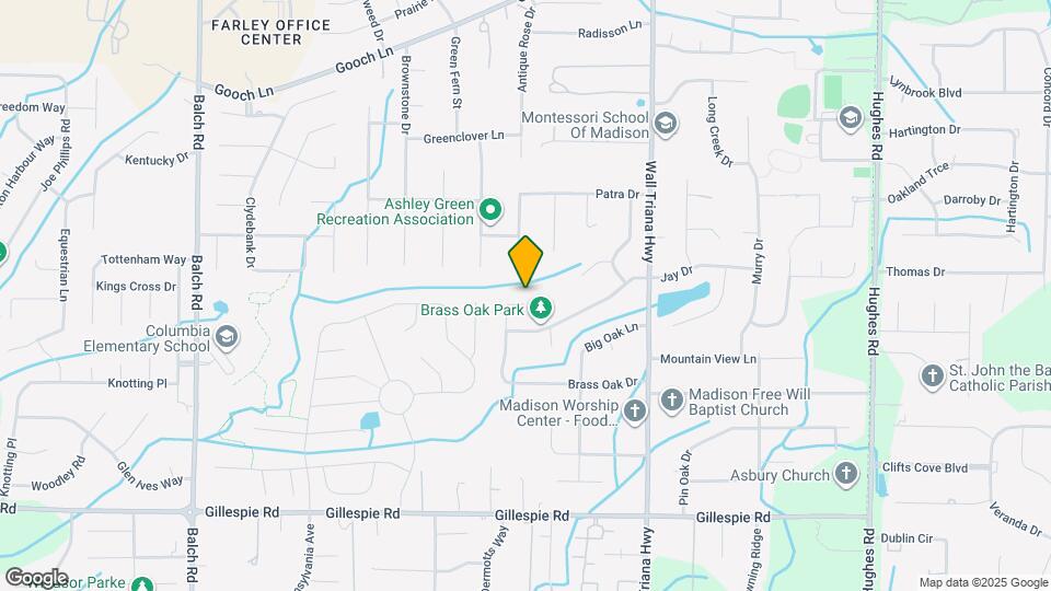 165 Brass Oak Dr Map and Location Details