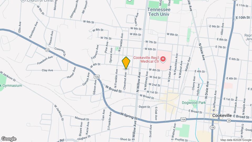 343 Chestnut Ave Mapa y Detalles de la Ubicación