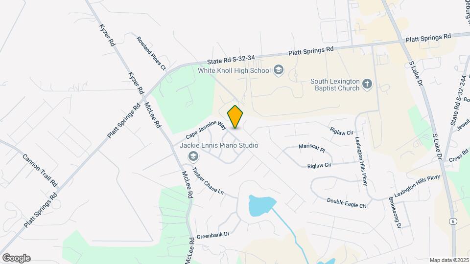 253 Cape Jasmine Way Map and Location Details