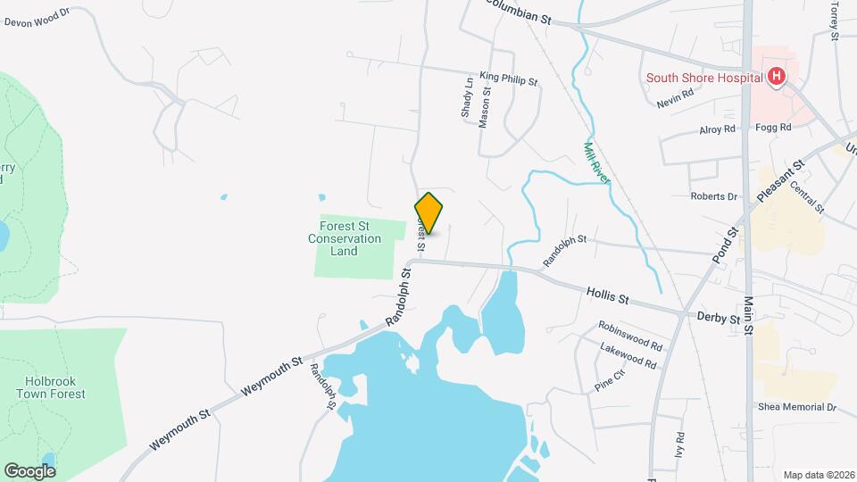 19 Forest St Map and Location Details