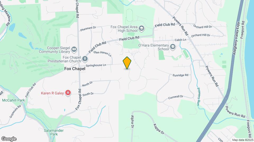 223 Springhouse Ln Mapa y Detalles de la Ubicación