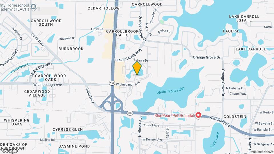 10356 Carrollwood Ln Map and Location Details