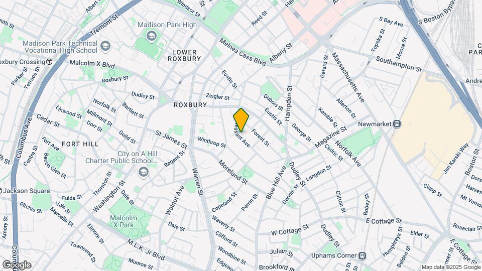42 Mt Pleasant Ave Mapa y Detalles de la Ubicación