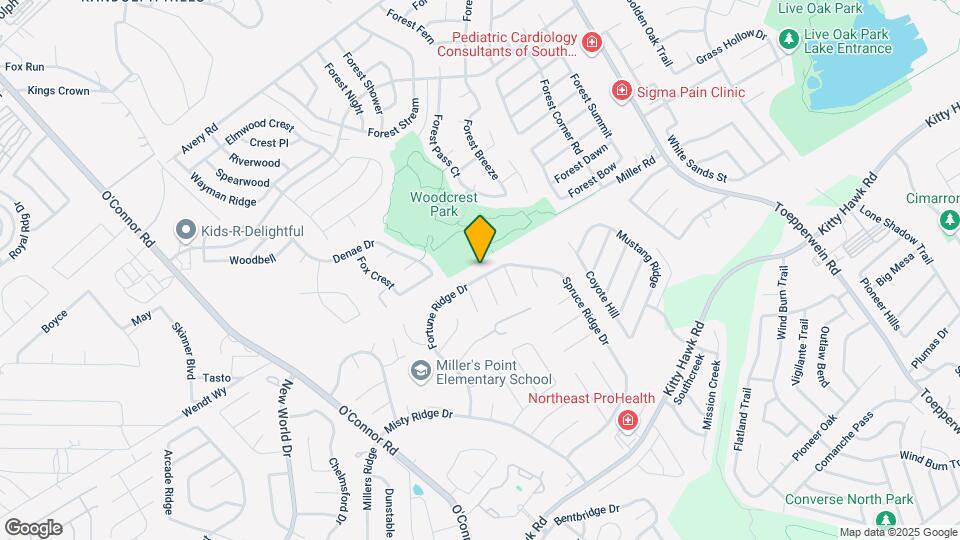 9919 Fortune Ridge Dr Mapa y Detalles de la Ubicación