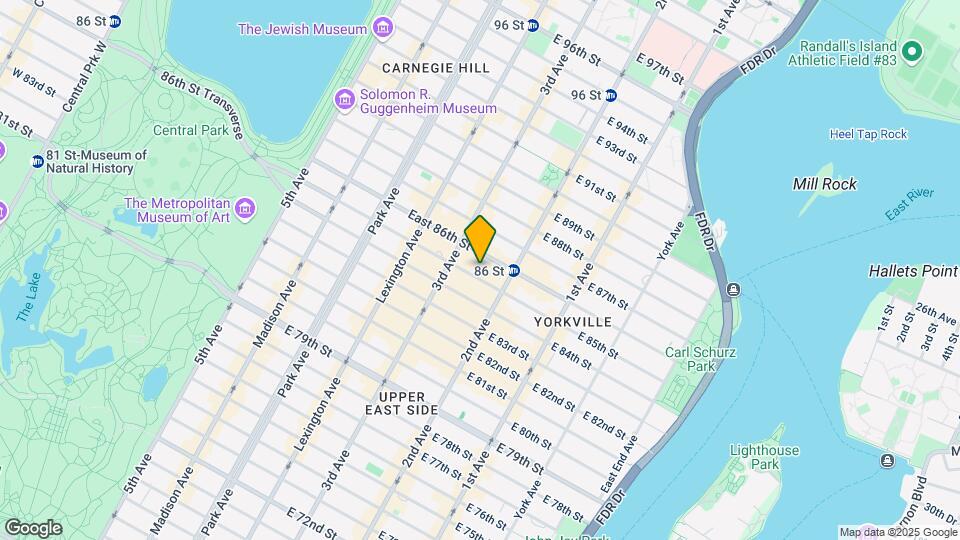 223 E 85th St Mapa y Detalles de la Ubicación