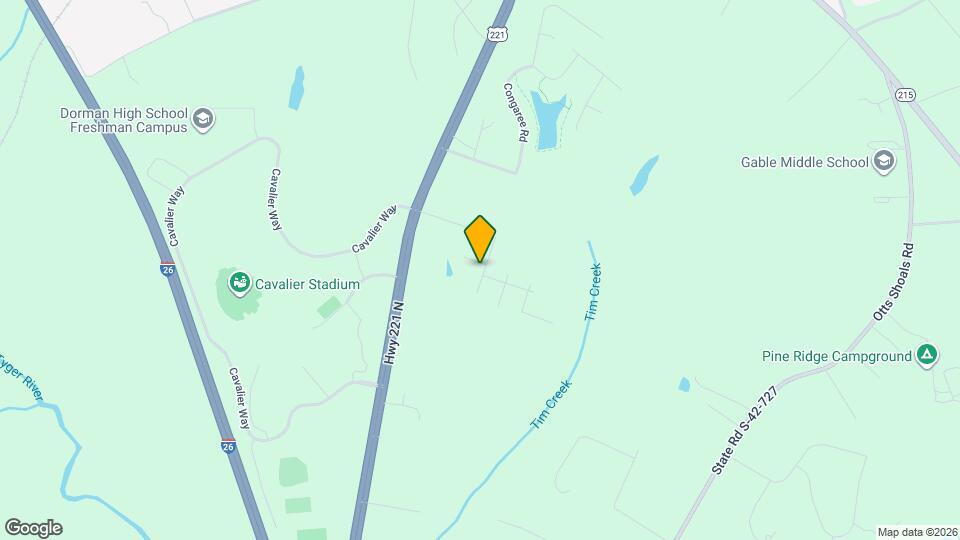 203 Reedy River Ct Mapa y Detalles de la Ubicación