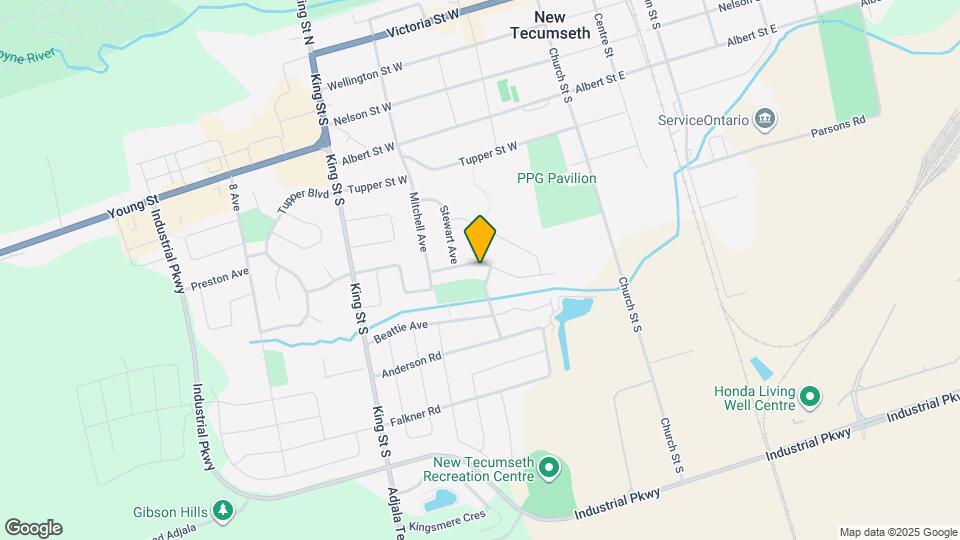 141 Cunningham Dr Map and Location Details