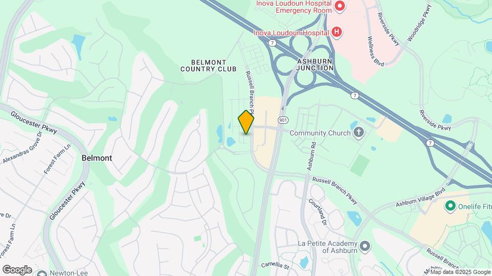 19872 Yellow Daisy Ter Map and Location Details