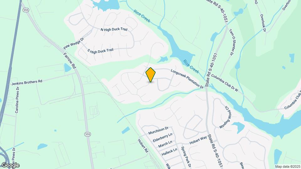 541 New Cut Ln Map and Location Details