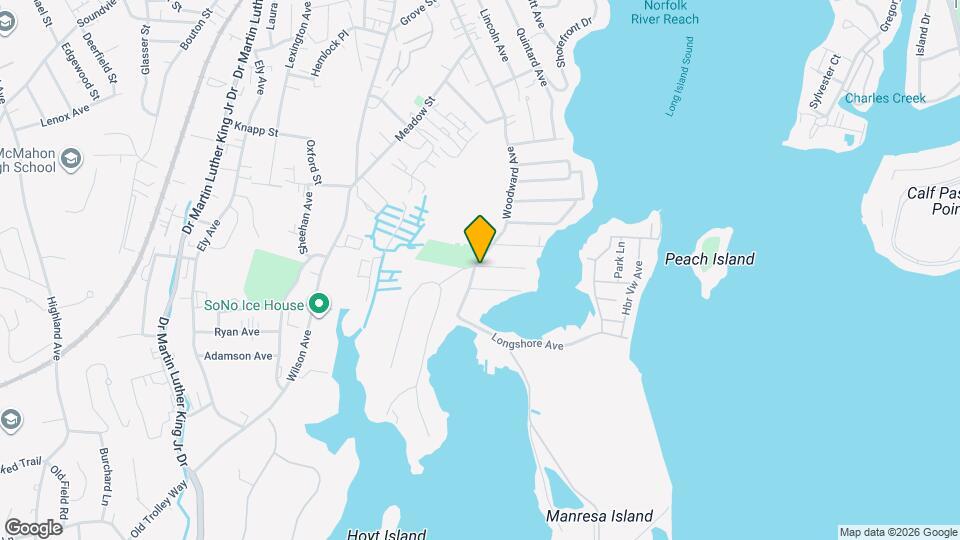 170 Woodward Ave Mapa y Detalles de la Ubicación