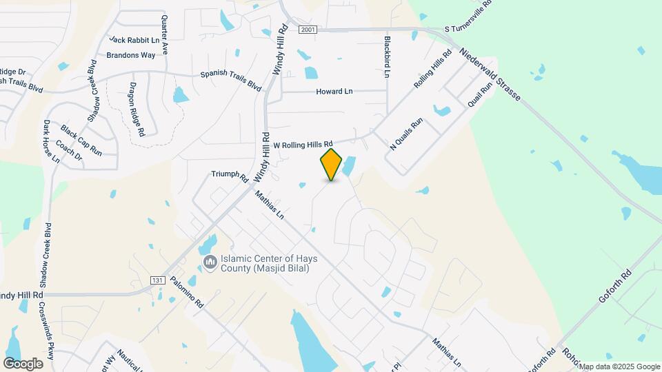 336 Carolina Buckthorn Dr Map and Location Details