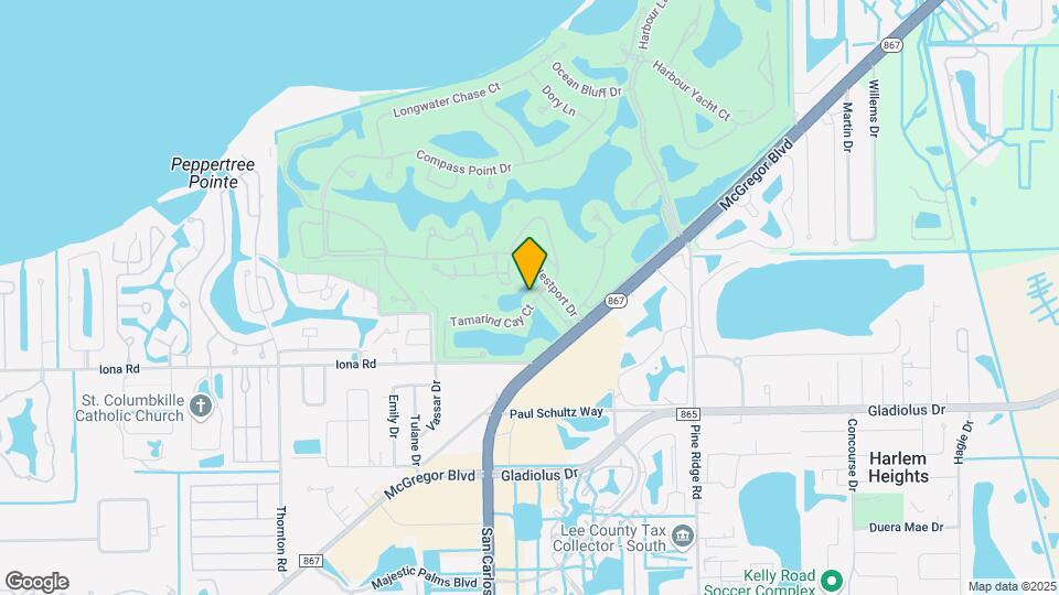 15010 Tamarind Cay Ct Map and Location Details