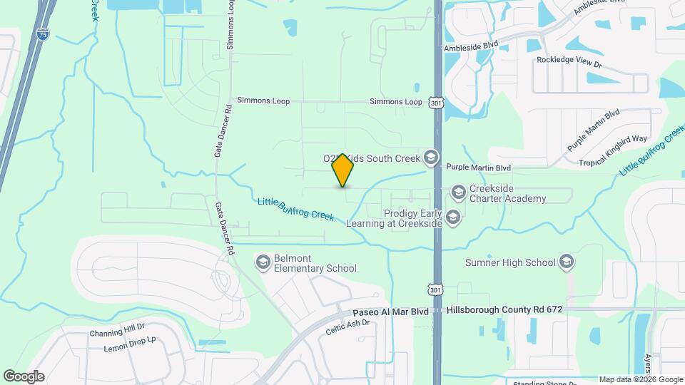 10291 Shady Preserve Dr Mapa y Detalles de la Ubicación
