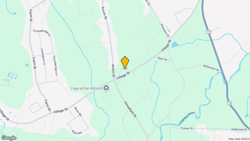 339 Village St Mapa y Detalles de la Ubicación