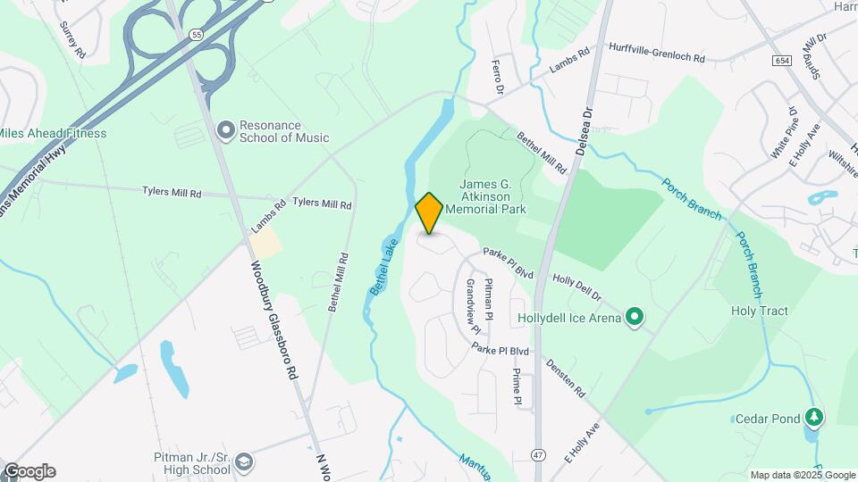 117 Pristine Pl Mapa y Detalles de la Ubicación