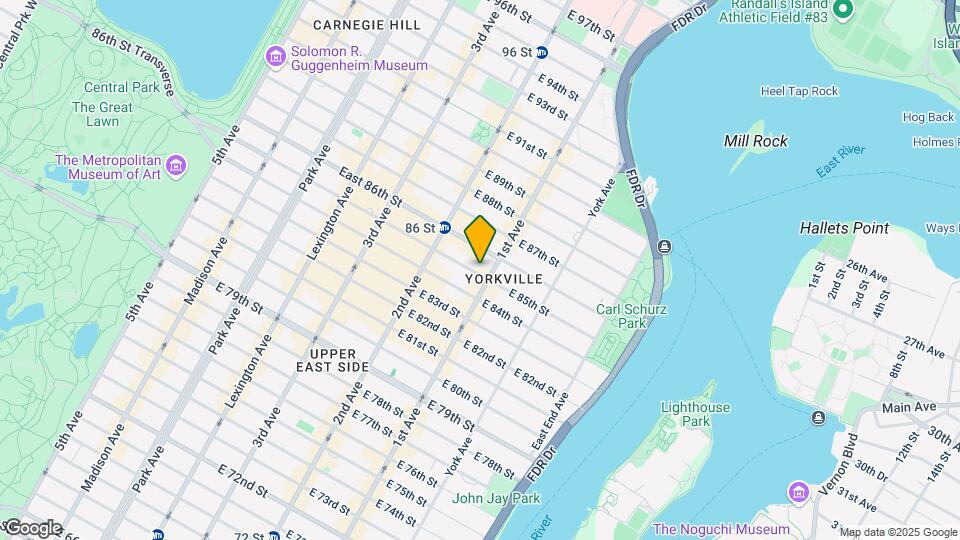 351 E 85th St Mapa y Detalles de la Ubicación
