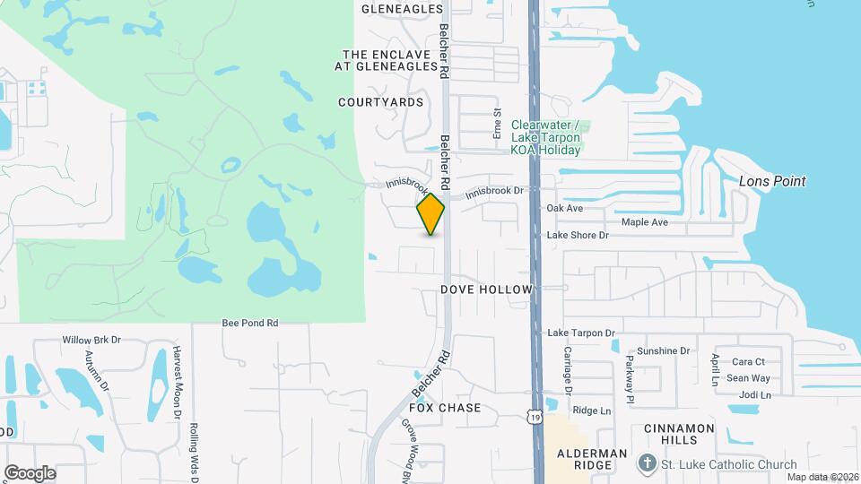 2247 Blue Tern Dr Mapa y Detalles de la Ubicación