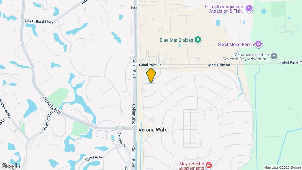 7390 Emilia Ln Map and Location Details