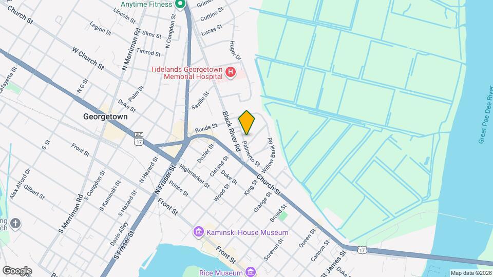 1136 Palmetto St Map and Location Details