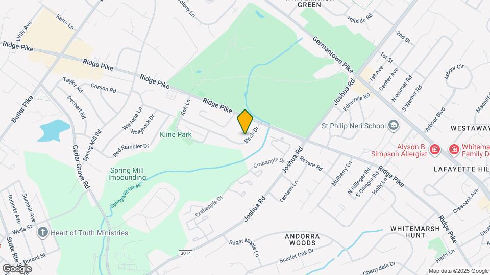 317 Birch Dr Map and Location Details