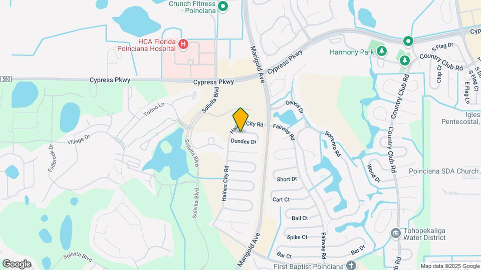 310 Dundee Dr Map and Location Details