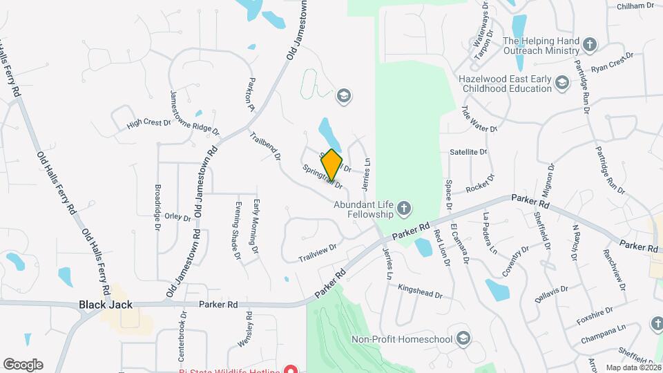 5320 Springtrail Dr Mapa y Detalles de la Ubicación
